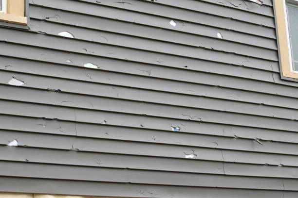 Best Historical Building Siding Restoration  in Hudson, IL