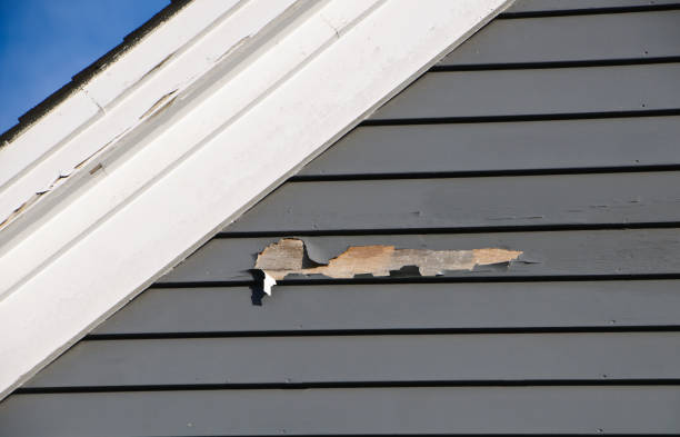 Best Siding Removal and Disposal  in Hudson, IL